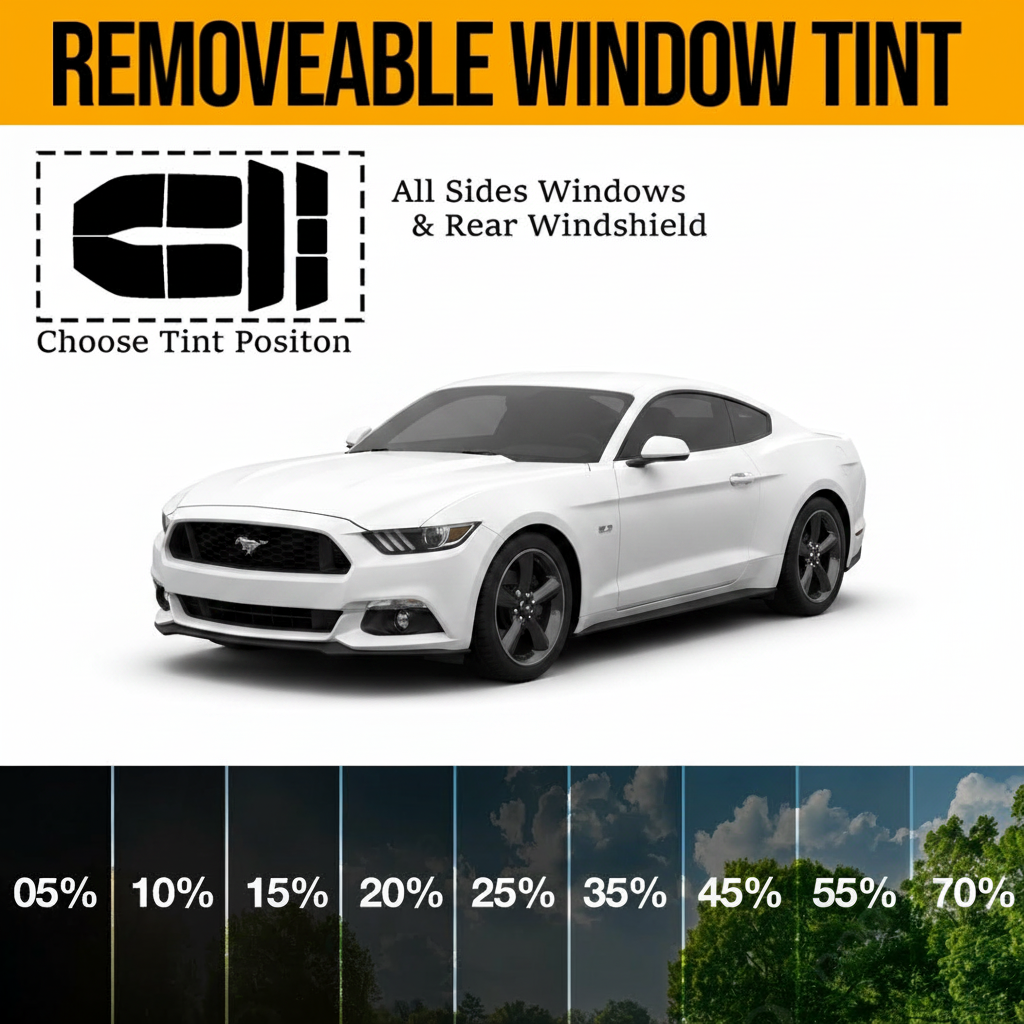 Removable Tint For Coupe Cars
