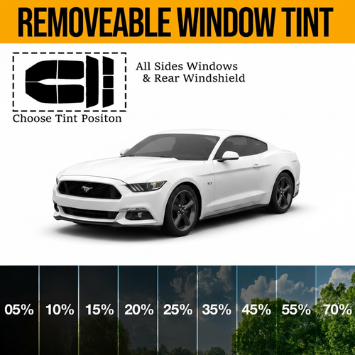 Removable Tint For Coupe Cars